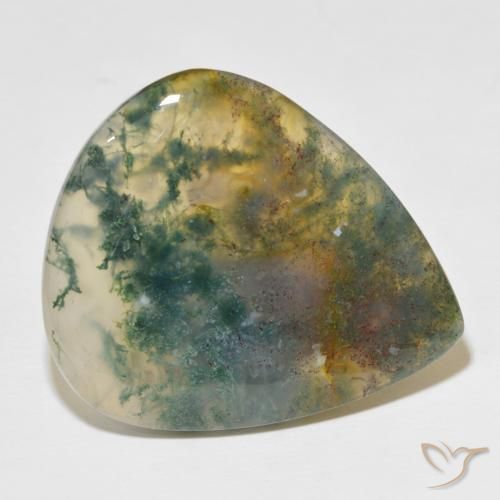 Agate mousse Multicolore naturelle En forme de poire, 49.60 ct, Translucide