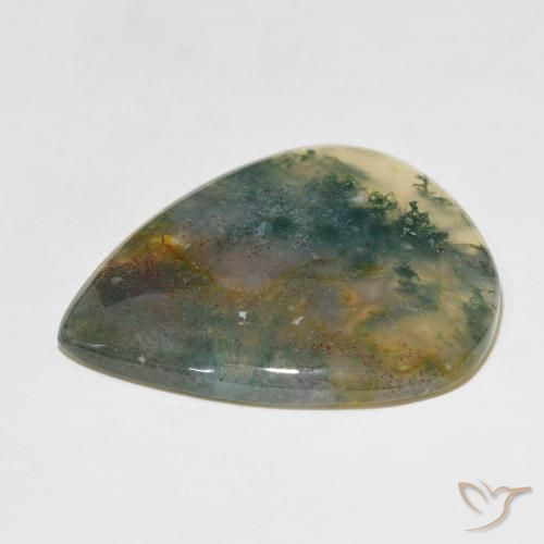 Agate mousse Multicolore naturelle En forme de poire, 49.60 ct, Translucide