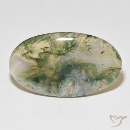 48.97ct Naturel Multicolore Agate mousse, ovale, Opaque