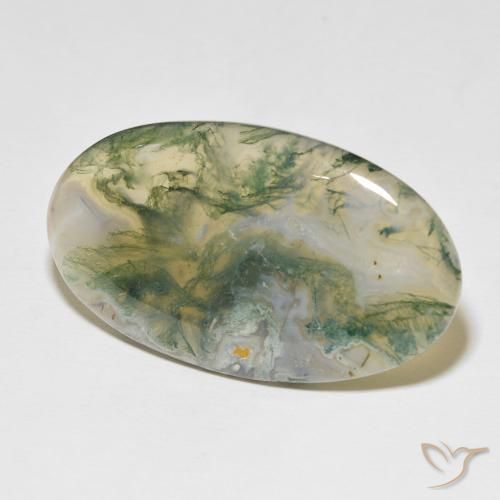 Agate mousse Multicolore naturelle ovale, 48.97 ct, Opaque