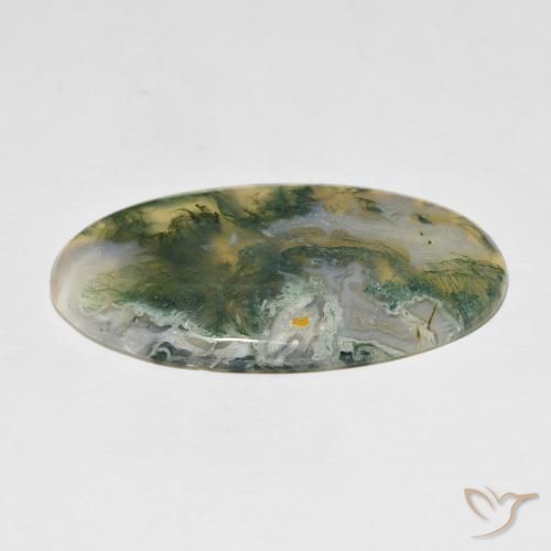Agate mousse Multicolore naturelle ovale, 48.97 ct, Opaque