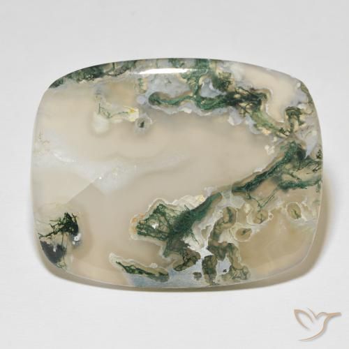 82.54ct Naturel Multicolore Agate mousse, Coussin, Translucide
