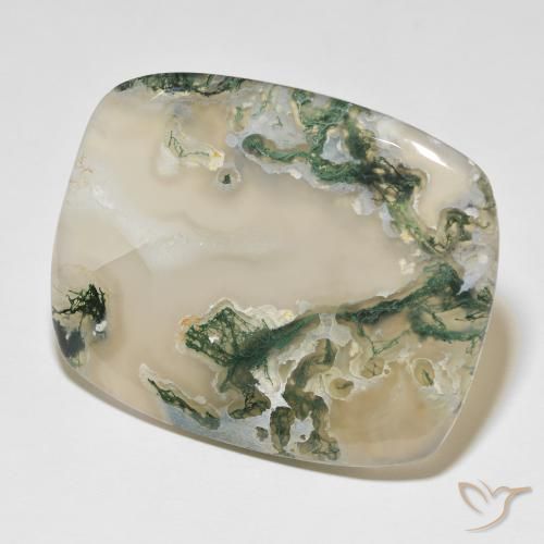 Agate mousse Multicolore naturelle Coussin, 82.54 ct, Translucide