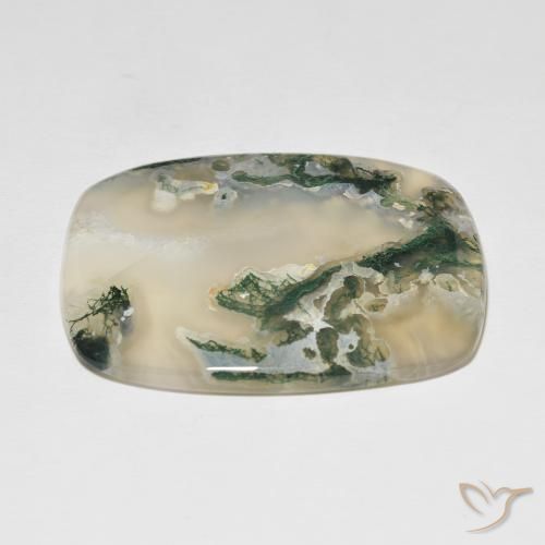Agate mousse Multicolore naturelle Coussin, 82.54 ct, Translucide