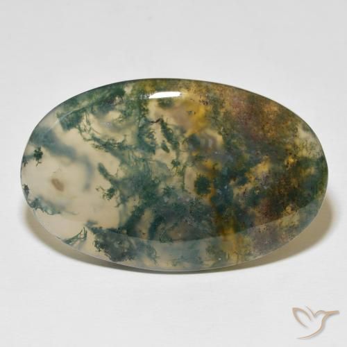 63.36ct Naturel Multicolore Agate mousse, ovale, Translucide