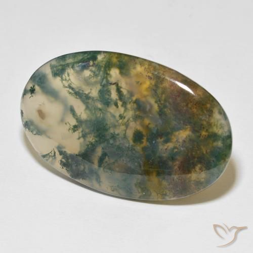 Agate mousse Multicolore naturelle ovale, 63.36 ct, Translucide