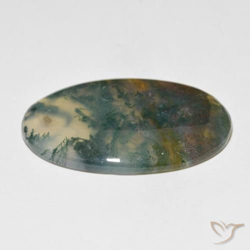 Agate mousse Multicolore naturelle ovale, 63.36 ct, Translucide
