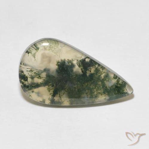 Agate mousse Multicolore naturelle En forme de poire, 10.69 ct, Translucide