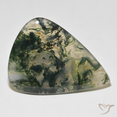 Agate mousse Multicolore naturelle En forme de poire, 76.96 ct, Translucide
