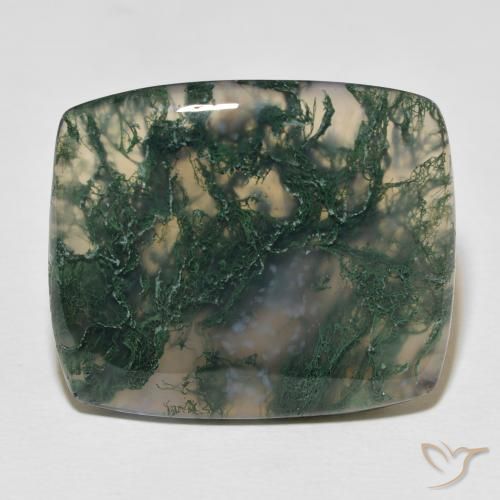 27.23ct Naturel Multicolore Agate mousse, Coussin, Opaque