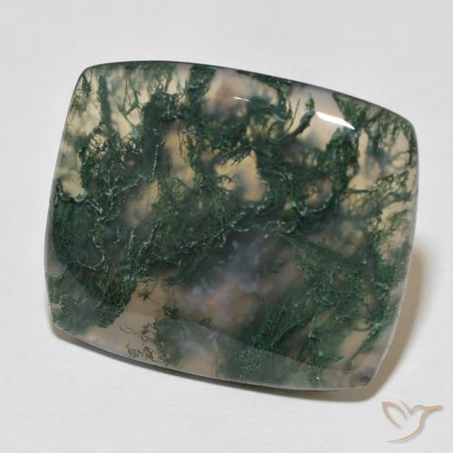 Agate mousse Multicolore naturelle Coussin, 27.23 ct, Opaque