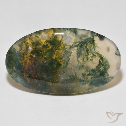 Agate mousse multicolore naturelle coupe ovale, 47,03 ct, opaque