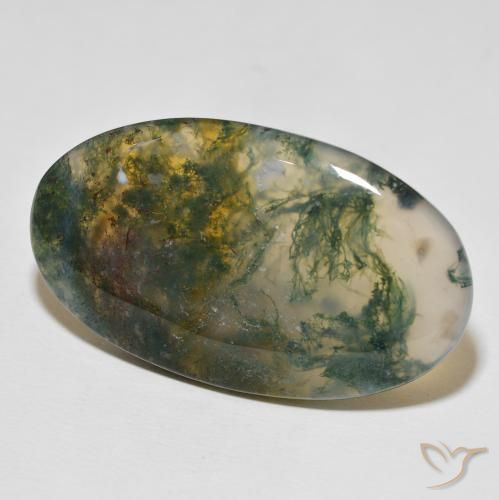 Agate mousse multicolore naturelle coupe ovale, 47,03 ct, opaque