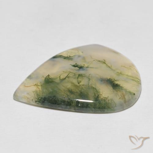 Agate mousse Multicolore naturelle En forme de poire, 22.57 ct, Translucide