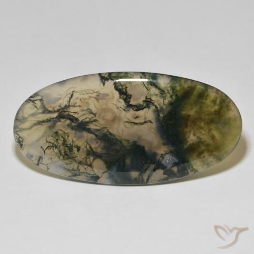 83.26ct Naturel Multicolore Agate mousse, ovale, Opaque