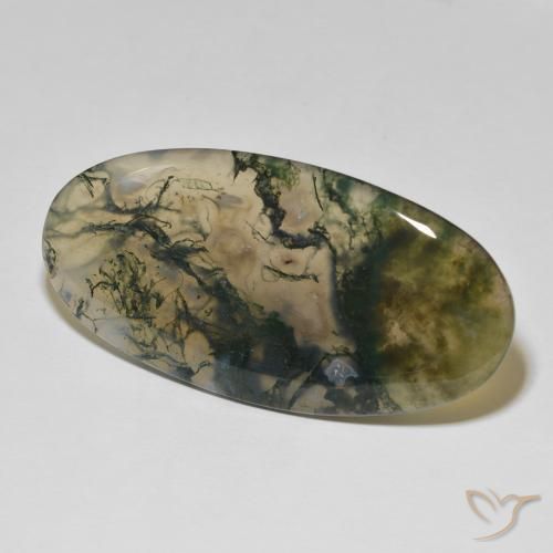 Agate mousse Multicolore naturelle ovale, 83.26 ct, Opaque