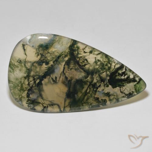 Agate mousse Multicolore naturelle En forme de poire, 90.45 ct, Translucide