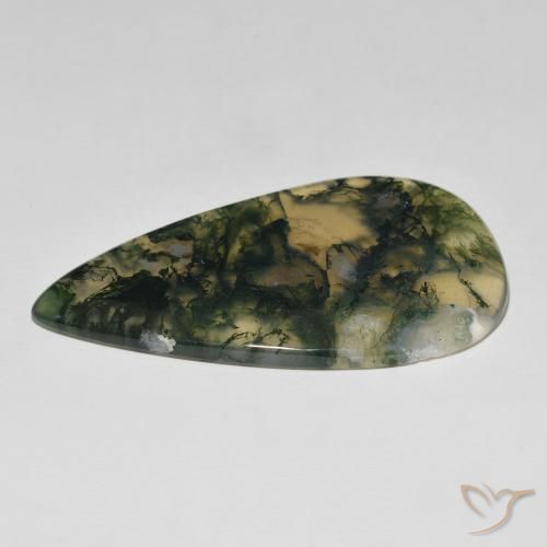 Agate mousse Multicolore naturelle En forme de poire, 90.45 ct, Translucide