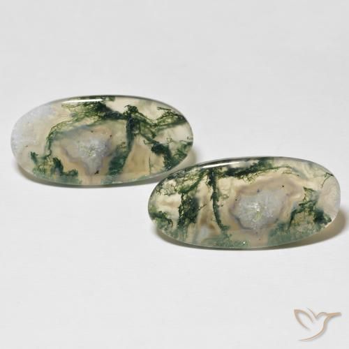 30.74ctw Naturel Multicolore Agate mousse, ovale, Translucide
