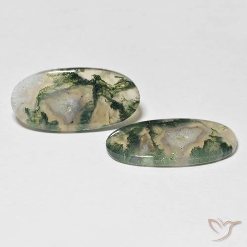 Shop natural 30.74ct Multicolore Agate mousse gems, ovale, from Inde at GemSelect. In stock, global shipping!