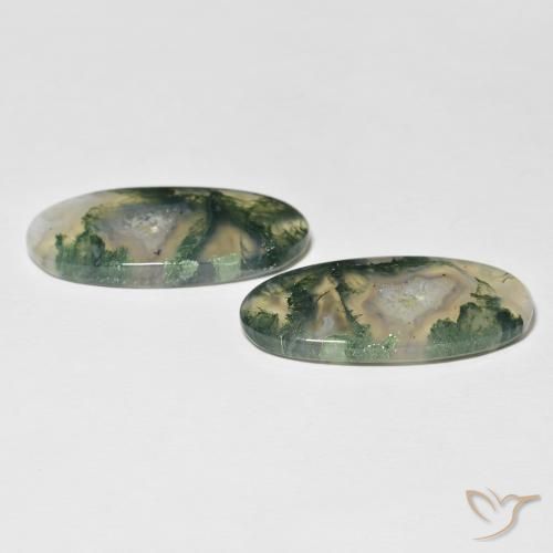 Shop natural 30.74ct Multicolore Agate mousse gems, ovale, from Inde at GemSelect. In stock, global shipping!