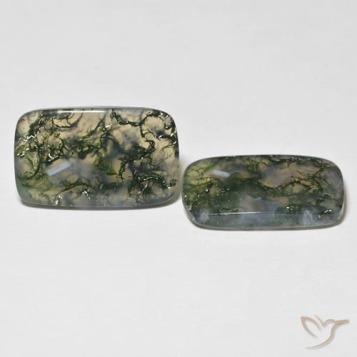 Shop natural 28.06ct Multicolore Agate mousse gems, Coussin, from Inde at GemSelect. In stock, global shipping!