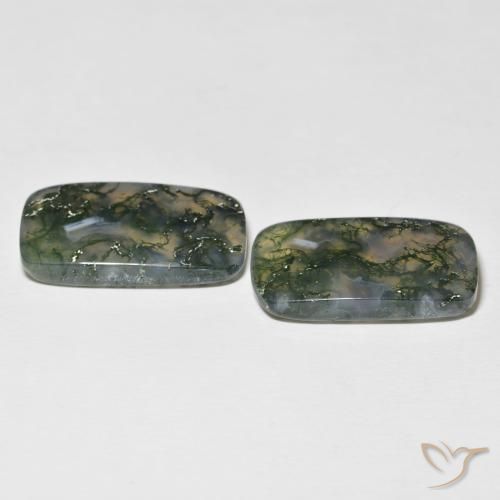 Shop natural 28.06ct Multicolore Agate mousse gems, Coussin, from Inde at GemSelect. In stock, global shipping!