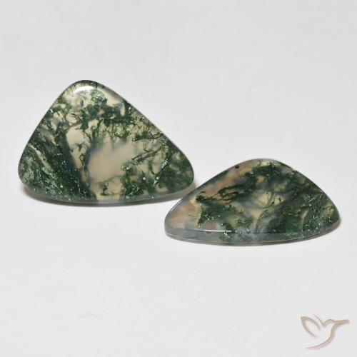 Shop natural 19.96ct Multicolore Agate mousse gems, Fantaisie, from Inde at GemSelect. In stock, global shipping!