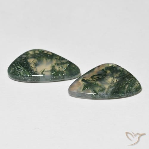 Shop natural 19.96ct Multicolore Agate mousse gems, Fantaisie, from Inde at GemSelect. In stock, global shipping!