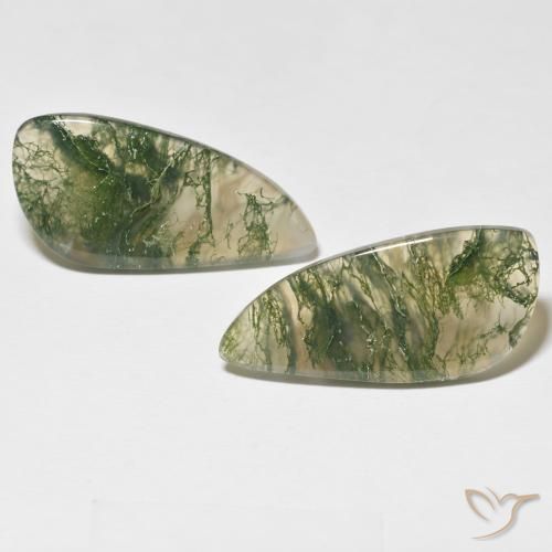 24.05ctw Naturel Multicolore Agate mousse, Fantaisie, Translucide