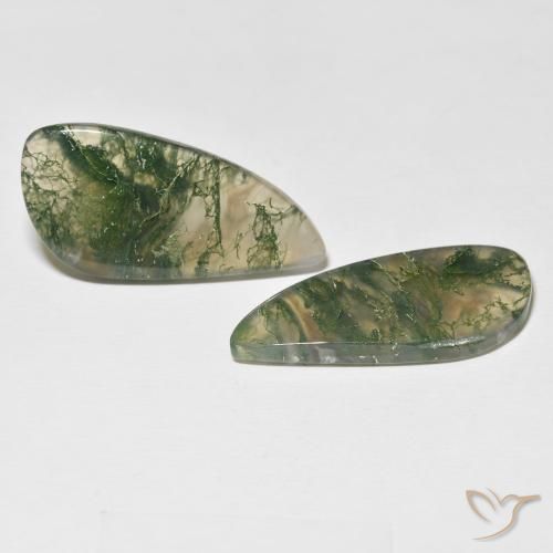 Shop natural 24.05ct Multicolore Agate mousse gems, Fantaisie, from Inde at GemSelect. In stock, global shipping!
