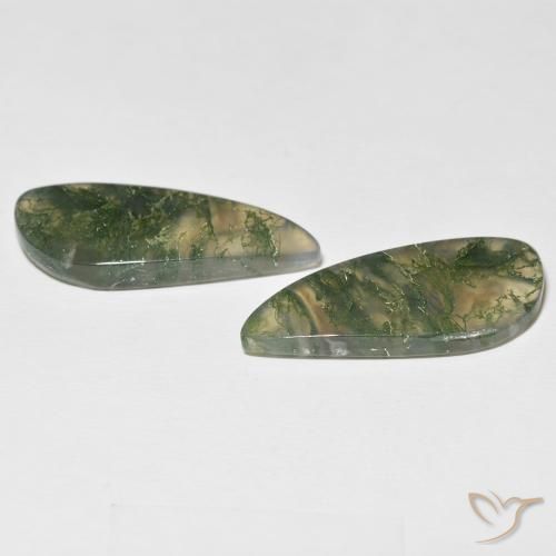 Shop natural 24.05ct Multicolore Agate mousse gems, Fantaisie, from Inde at GemSelect. In stock, global shipping!