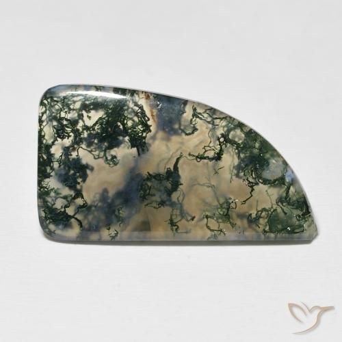 12.73ct Naturel Multicolore Agate mousse, Fantaisie, Translucide