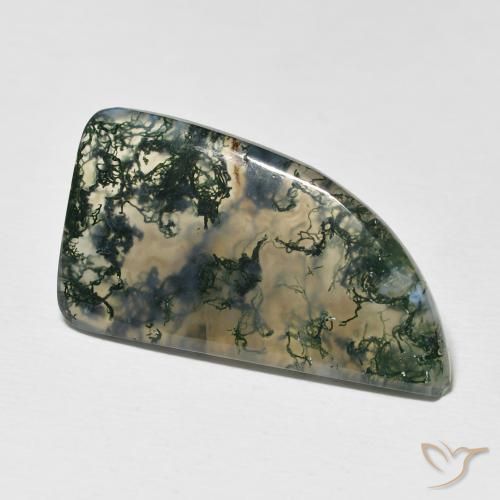 Agate mousse Multicolore naturelle Fantaisie, 12.73 ct, Translucide