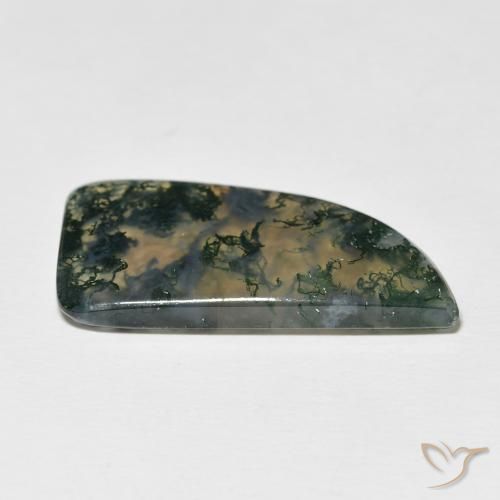 Agate mousse Multicolore naturelle Fantaisie, 12.73 ct, Translucide