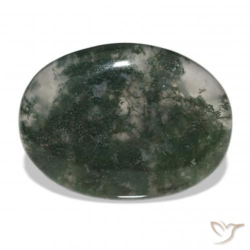 39.60ct Multicolore Agate mousse Pierres précieuses, ovale, Translucide