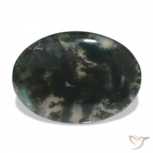 30.13ct Multicolore Agate mousse, ovale, Translucide