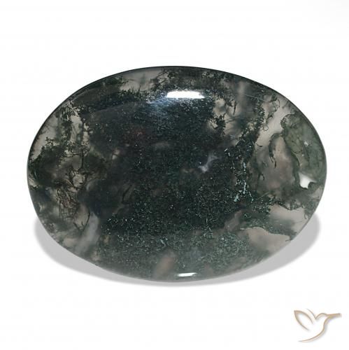 36.54ct Multicolore Agate mousse, ovale, Translucide