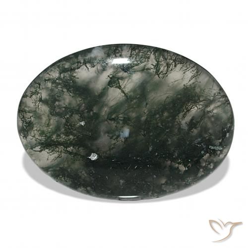 53.06ct Multicolore Agate mousse, ovale, Translucide