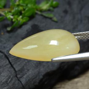 Opale mousse Dendrite jaune naturelle En forme de poire, 7,17 ct, Translucide