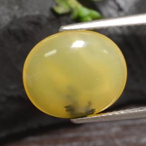 Opale mousse jaune naturelle coupe ovale, 3,65 ct, translucide