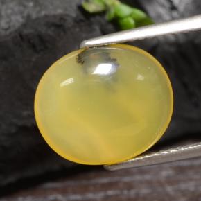 Opale mousse jaune naturelle coupe ovale, 3,65 ct, translucide