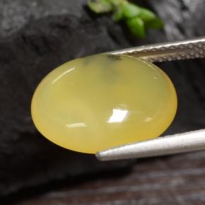 Opale mousse jaune naturelle coupe ovale, 3,65 ct, translucide