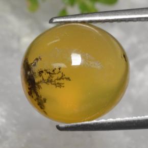 Opale mousse jaune naturelle coupe ovale, 5,08 ct, translucide