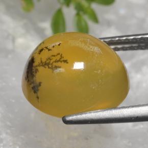 Opale mousse jaune naturelle coupe ovale, 5,08 ct, translucide