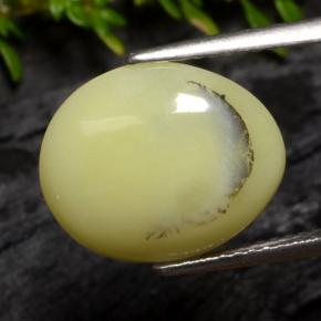 Opale mousse Jaune crème naturelle Coupe ovale, 4.25 ct, Translucide