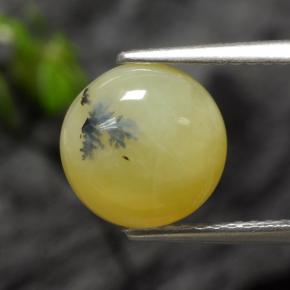 Opale mousse jaune naturelle coupe roude, 2,73 ct, translucide