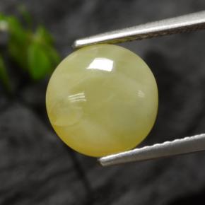 Opale mousse jaune naturelle coupe roude, 2,73 ct, translucide