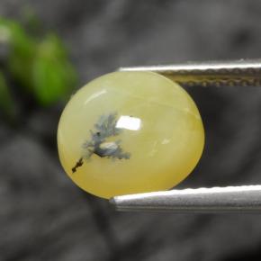 Opale mousse jaune naturelle coupe roude, 2,73 ct, translucide