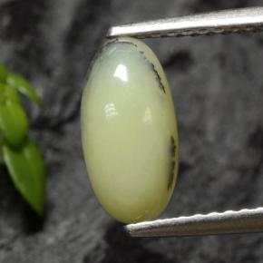 Opale mousse dendrite jaune naturelle coupe ovale, 1,12 ct, translucide